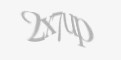 Защитный код